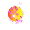 Pom Pom Knuckles